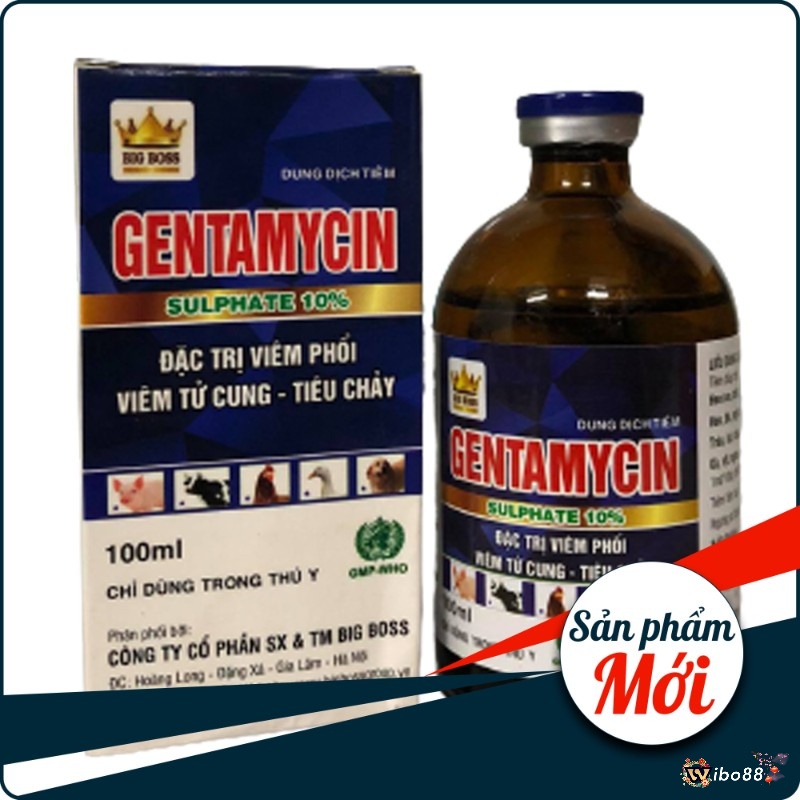 Dùng Gentamycin dạng nước nhỏ cho gà để chữa sưng phù mặt