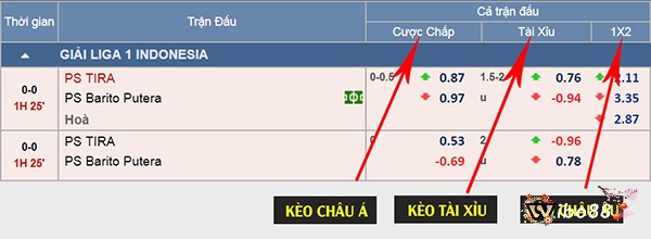 Xem ví dụ để hiểu rõ hơn kèo Châu Âu là gì? và tham gia đặt cược